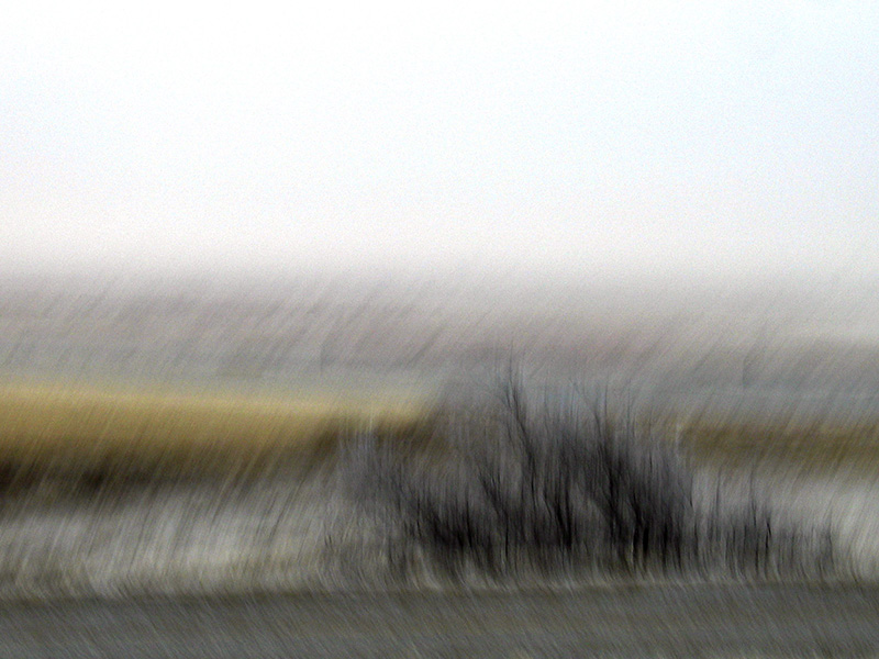 Ice Speed